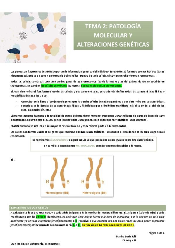 Miniatura del documento T2-FISO-II.pdf