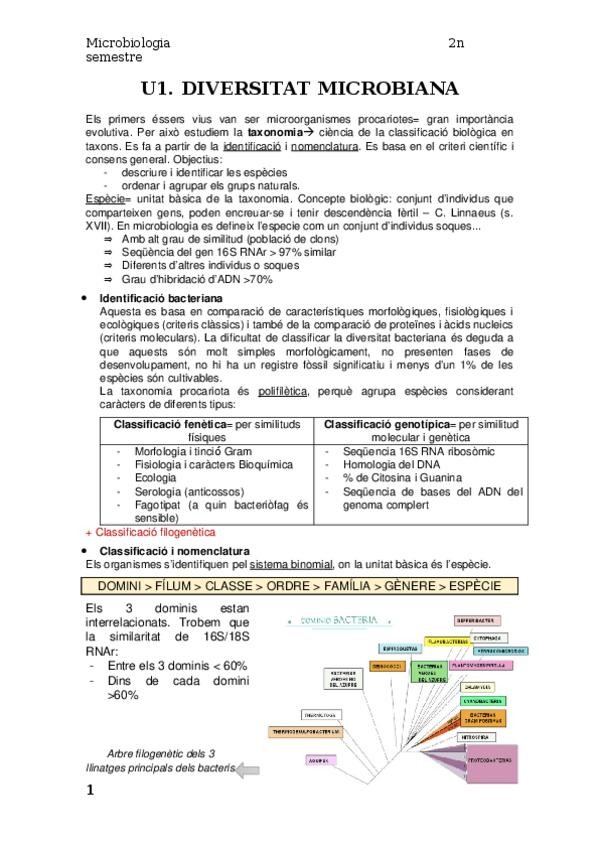 Miniatura del documento 2n-sem-micro.docx