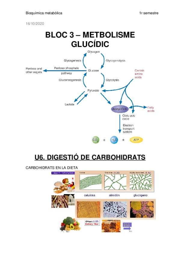 Miniatura del documento Bloc-3-BQM.docx