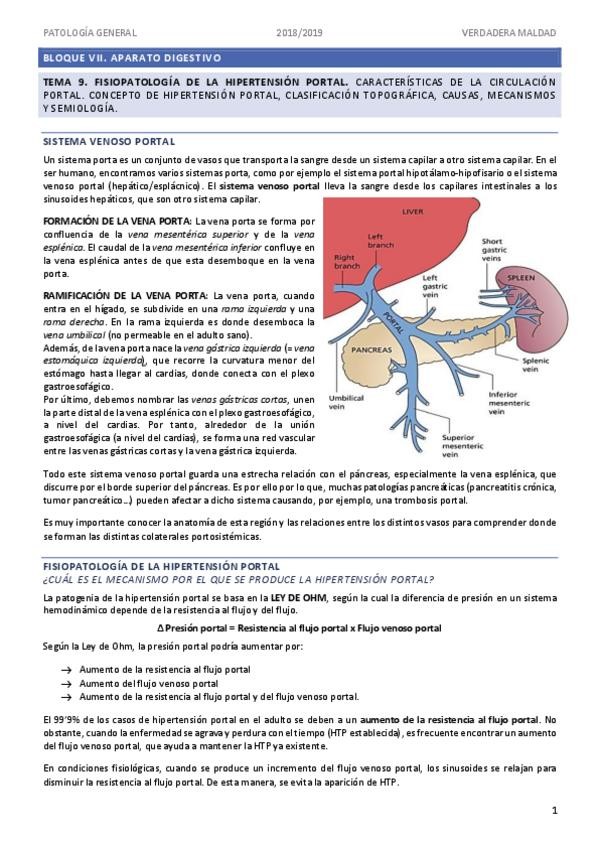 Miniatura del documento Tema-9.pdf