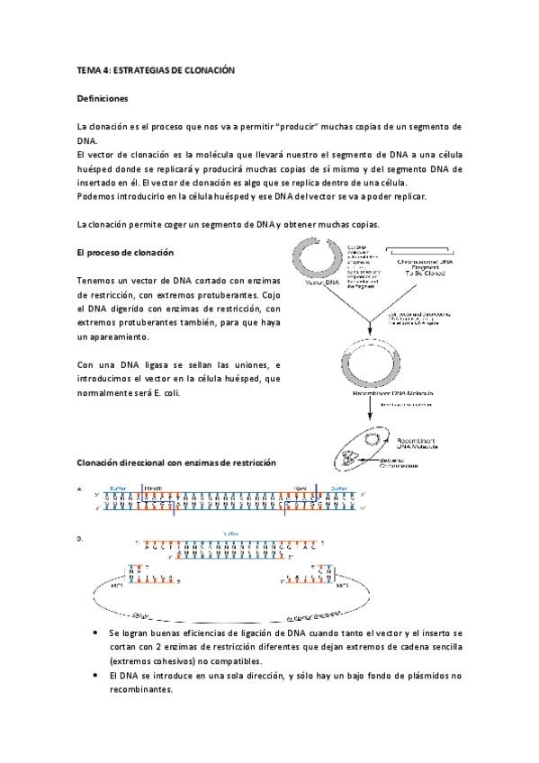 Miniatura del documento Tema 4 IG.pdf