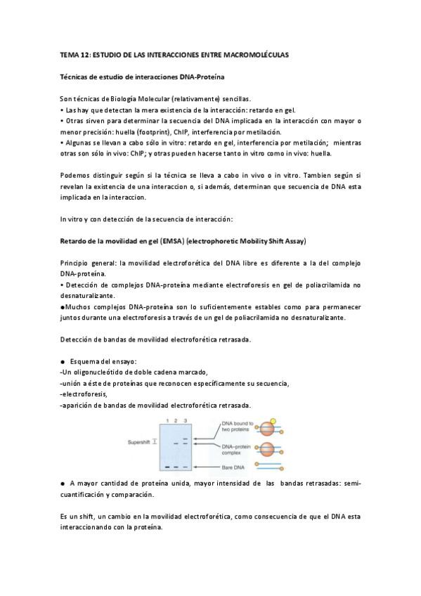 Miniatura del documento Tema 12 IG.pdf