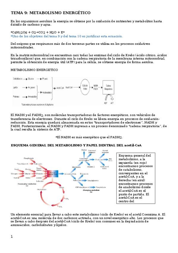 Miniatura del documento Tema-9.docx