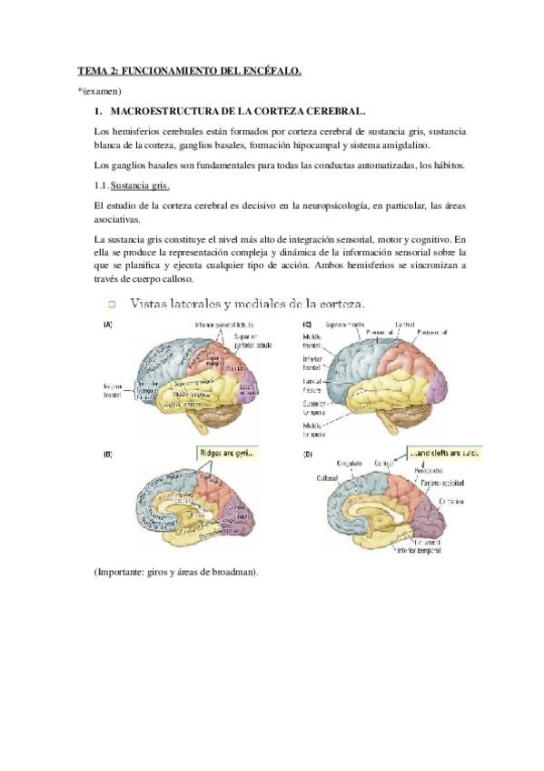 Miniatura del documento Tema-2.docx