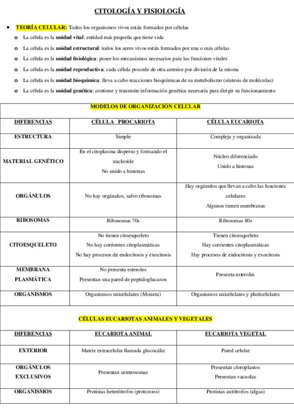 Miniatura del documento Sin-titulo.docx