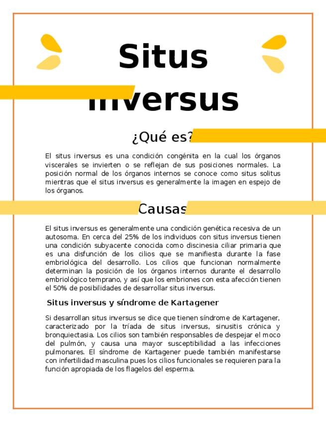 Miniatura del documento SITUS-INVERSUS.docx
