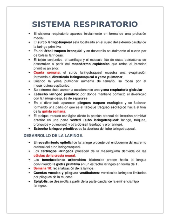Miniatura del documento SISTEMA-RESPIRATORIO.docx