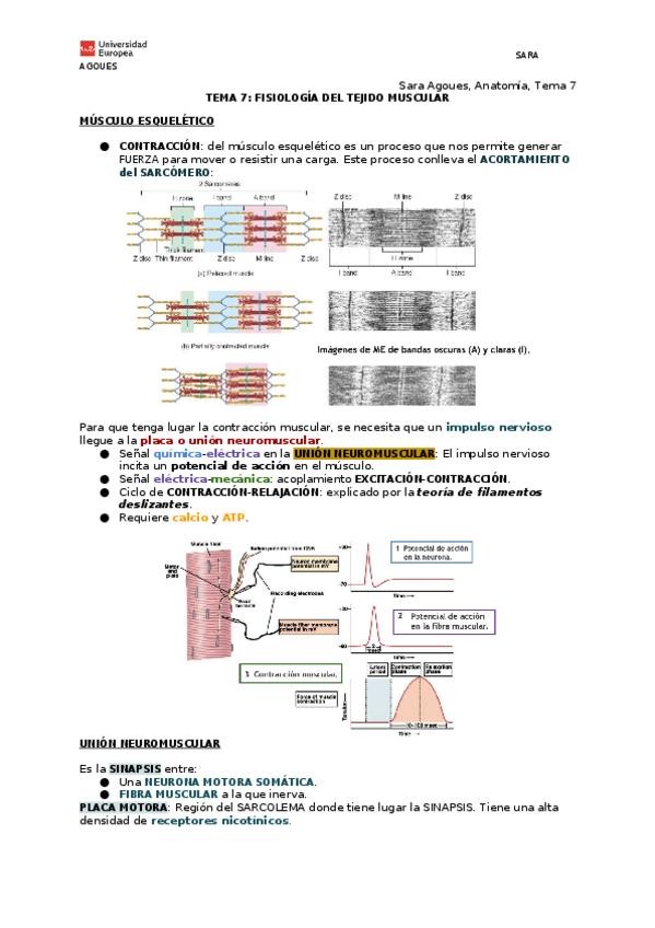 Miniatura del documento 7.6-7.8-TEJIDO-MUSCULAR-FISIOLOGIA.docx