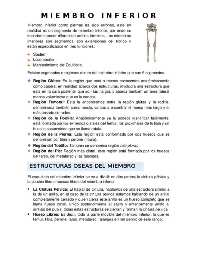 Miniatura del documento Miembro-Inferior.docx