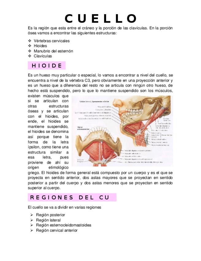 Miniatura del documento Cuello.docx
