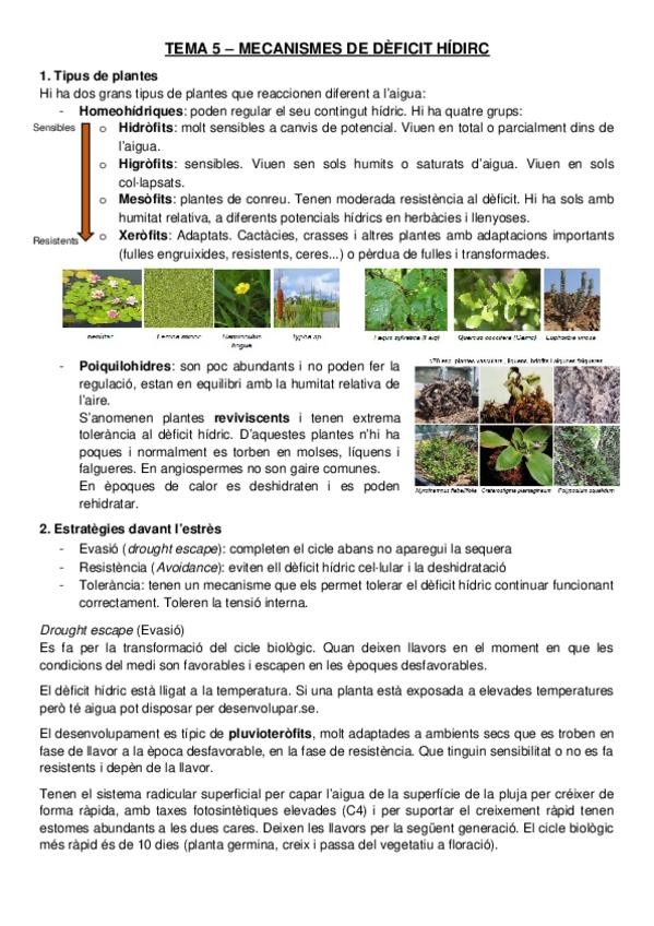 Miniatura del documento TEMA-5-MECANISMES-DE-DEFICIT-HIDIRC.docx