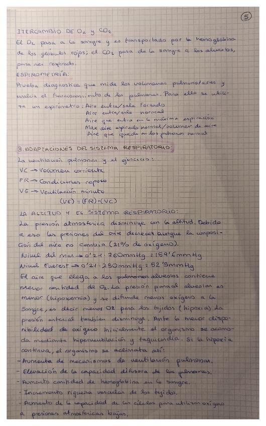 Miniatura del documento 05.pdf