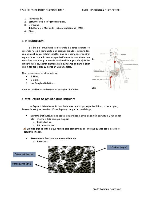 Miniatura del documento Tema-5-6.pdf