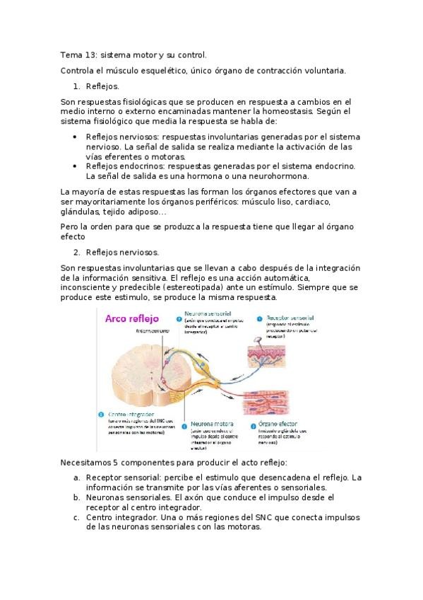 Miniatura del documento Tema-13.docx