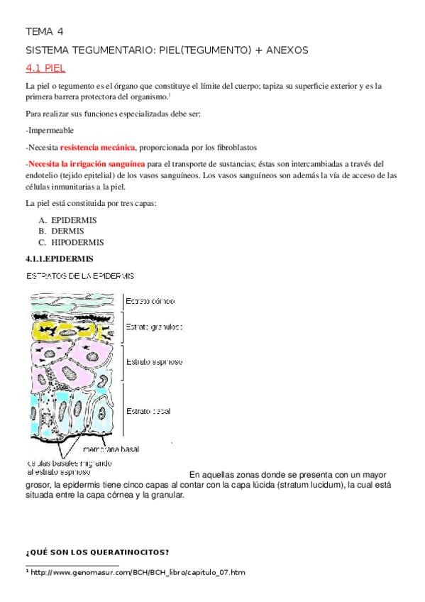 Miniatura del documento TEMA-5.docx