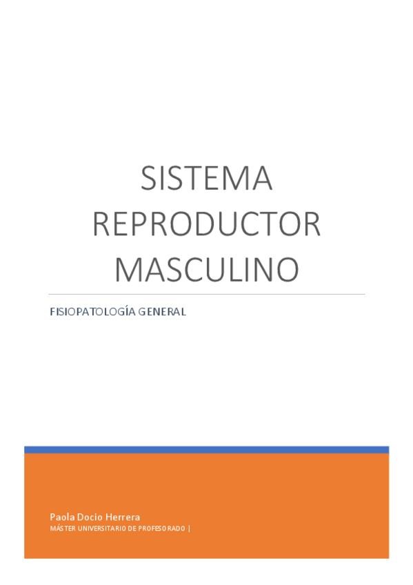 Miniatura del documento SIST.pdf