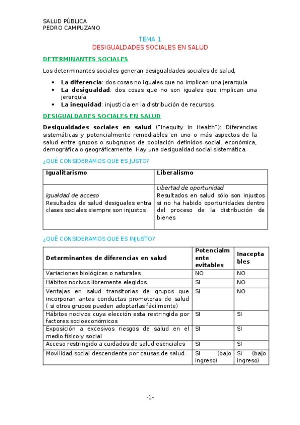 Miniatura del documento DESIGUAALDADES-SOCIALES-EN-SALUD.docx