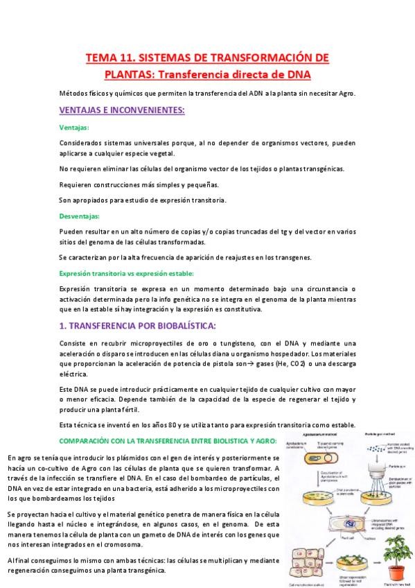 Miniatura del documento TEMA-11.pdf