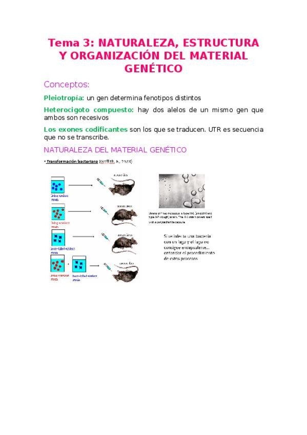 Miniatura del documento Tema-4-Genetica.docx