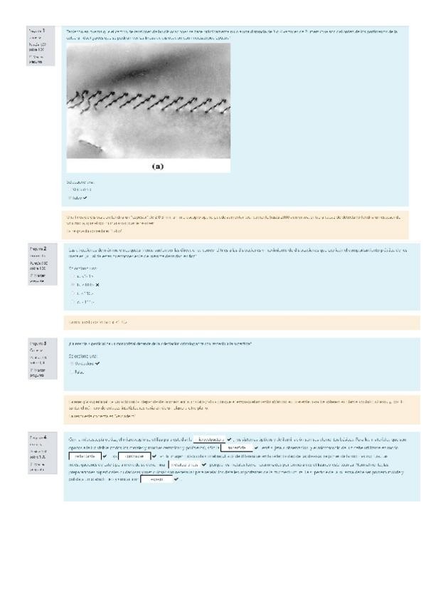 Miniatura del documento tema3.pdf