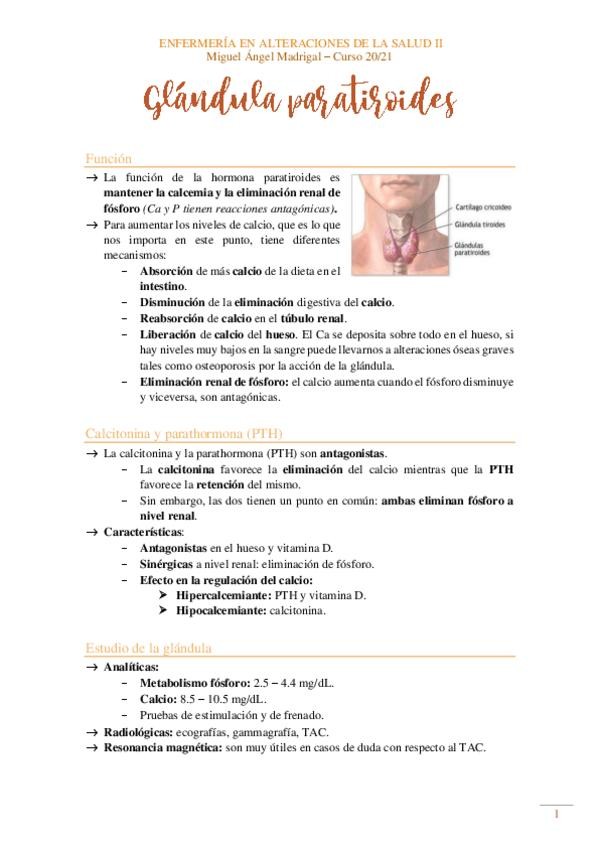 Miniatura del documento Paratiroides.pdf