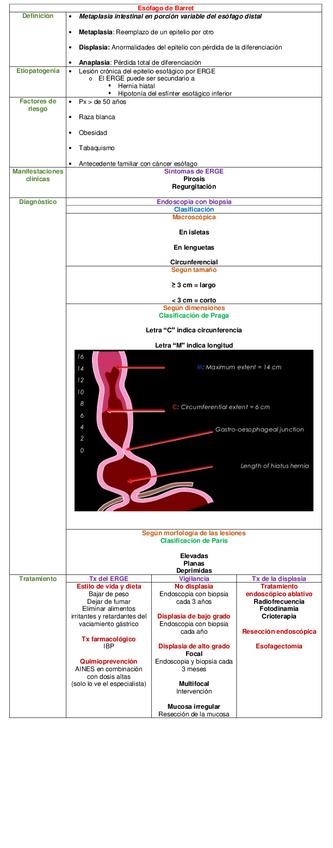 Miniatura del documento CUADRO-ESOFAGO-DE-BARRET.pdf