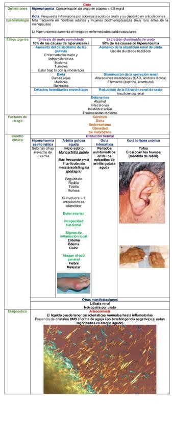 Miniatura del documento CUADRO-GOTA.pdf