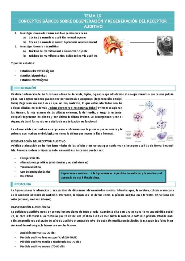 Miniatura del documento TEMA-16-.pdf