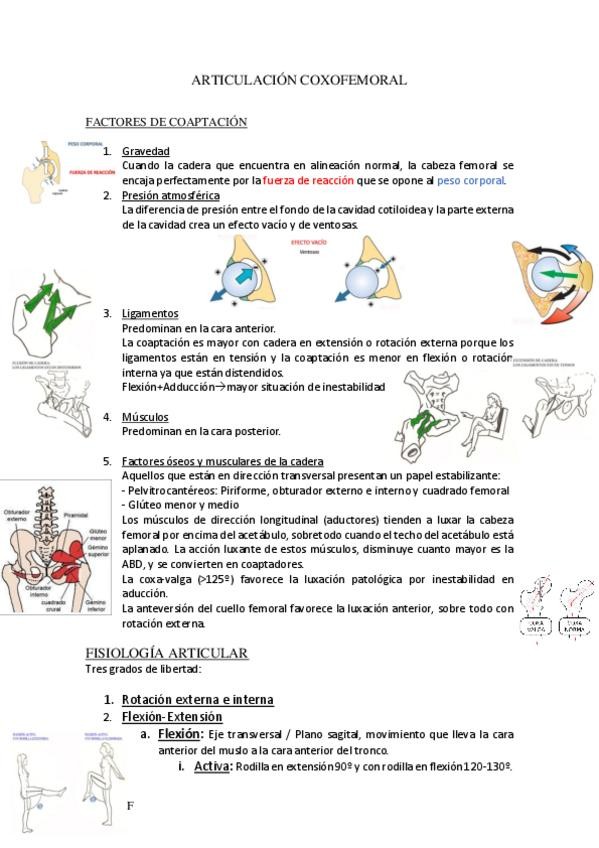 Miniatura del documento ARTICULACION-COXOFEMORAL.pdf