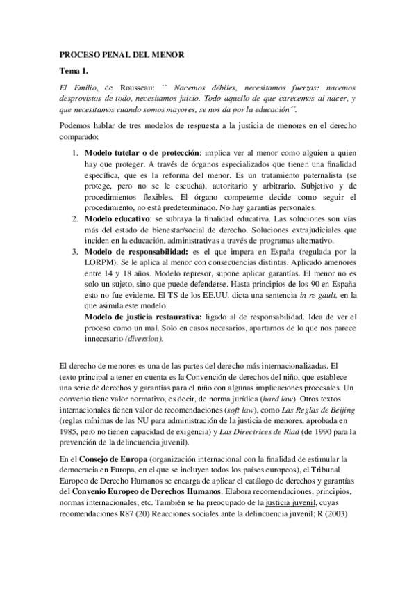 Miniatura del documento PPM-Tema-1.docx