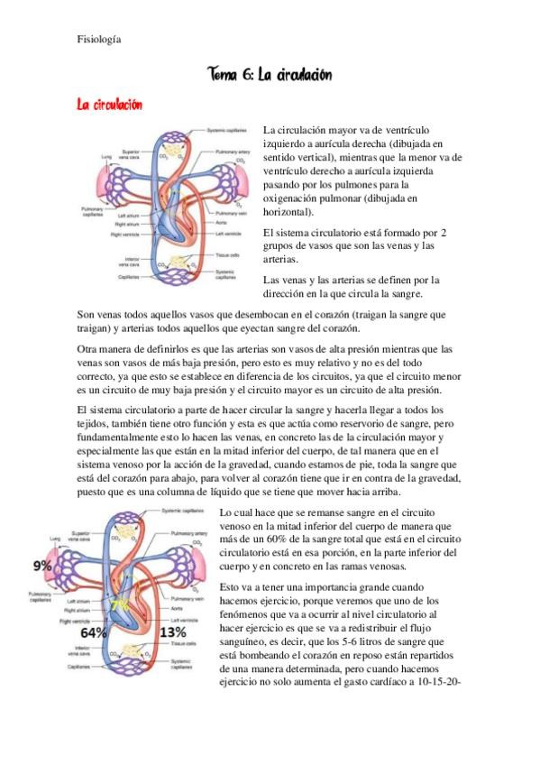 Miniatura del documento Tema-6-La-circulacion.pdf