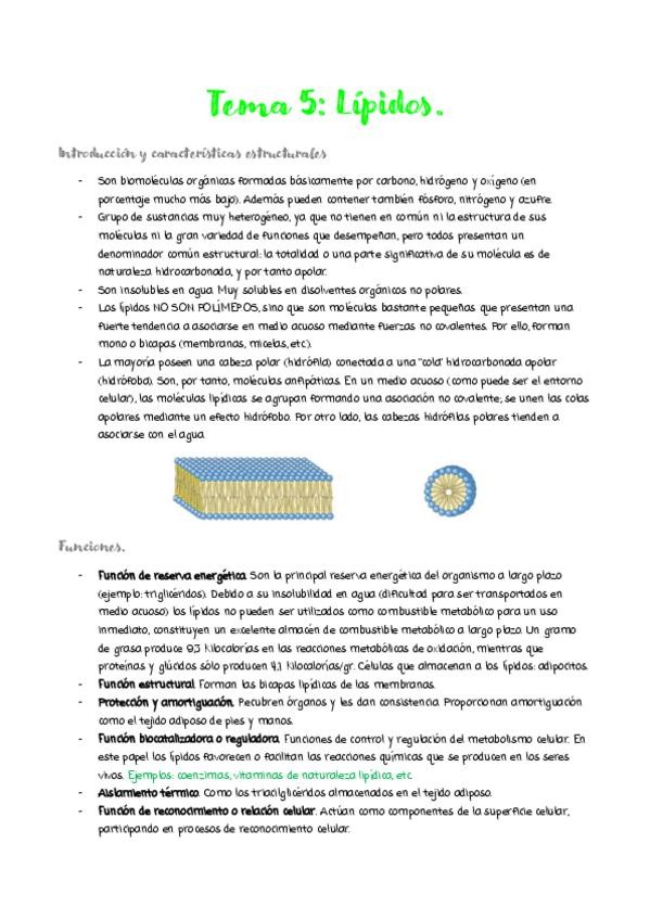 Miniatura del documento tema-5.pdf