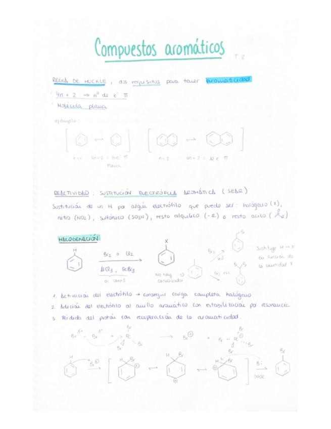 Miniatura del documento Compuestos-aromaticos.pdf