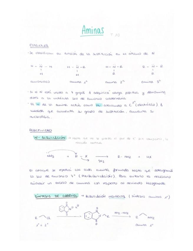 Miniatura del documento Aminas.pdf