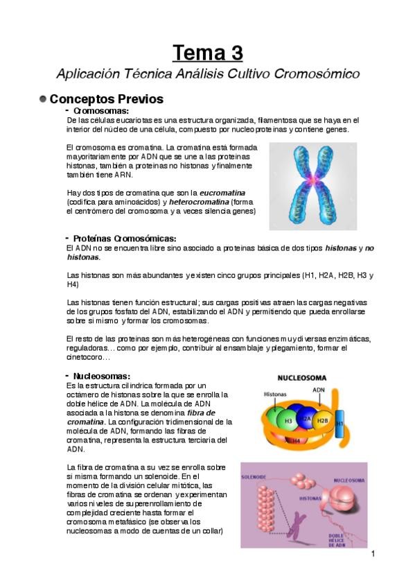 Miniatura del documento Tema-3pdf.pdf