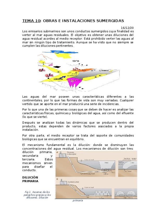 Miniatura del documento TEMA-10.docx