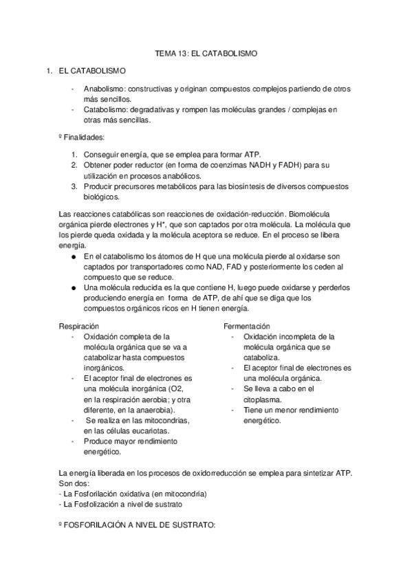 Miniatura del documento TEMA-13-EL-CATABOLISMO.docx