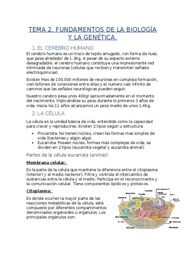 Miniatura del documento TEMA-2.docx
