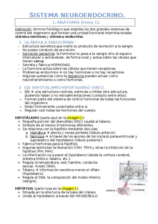 Miniatura del documento SISTEMA-NEUROENDOCRINO.docx