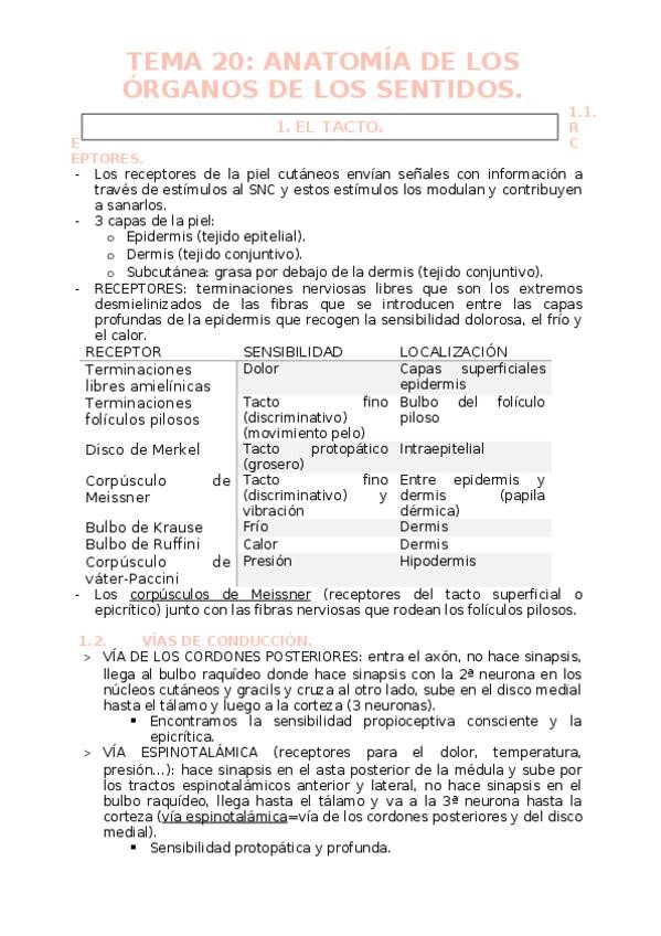 Miniatura del documento TEMA-20-AYF3-A.docx