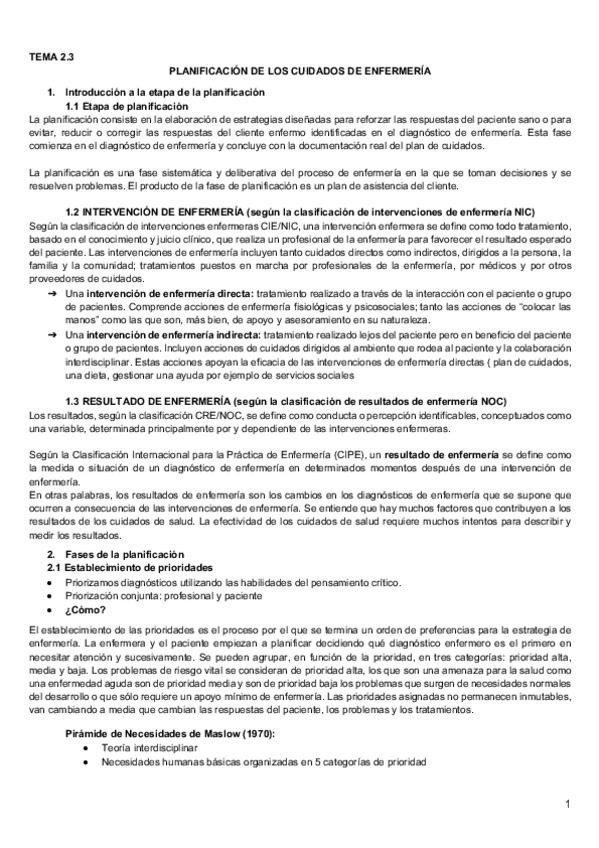 Miniatura del documento 2.3 Planificación