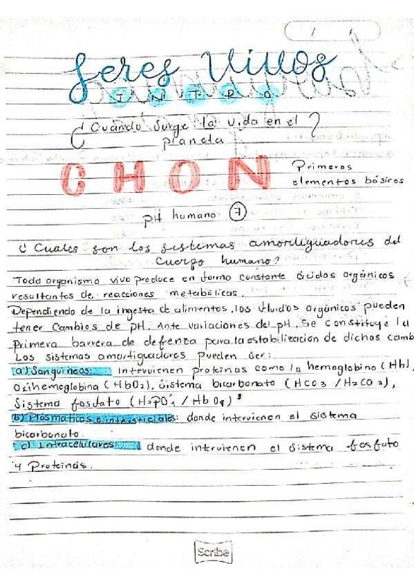 Miniatura del documento Bioquimica.pdf