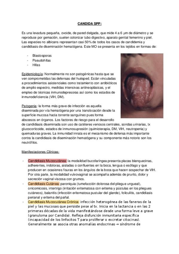 Miniatura del documento CANDIDA-SPP.docx