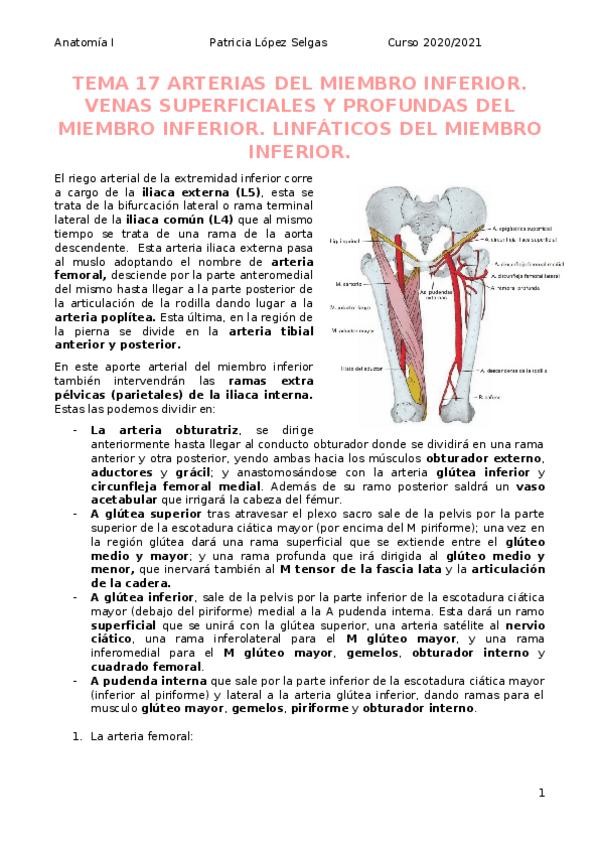 Miniatura del documento Vasc.docx