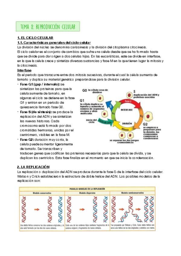 Miniatura del documento REPRODUCCION-CELULAR-.pdf
