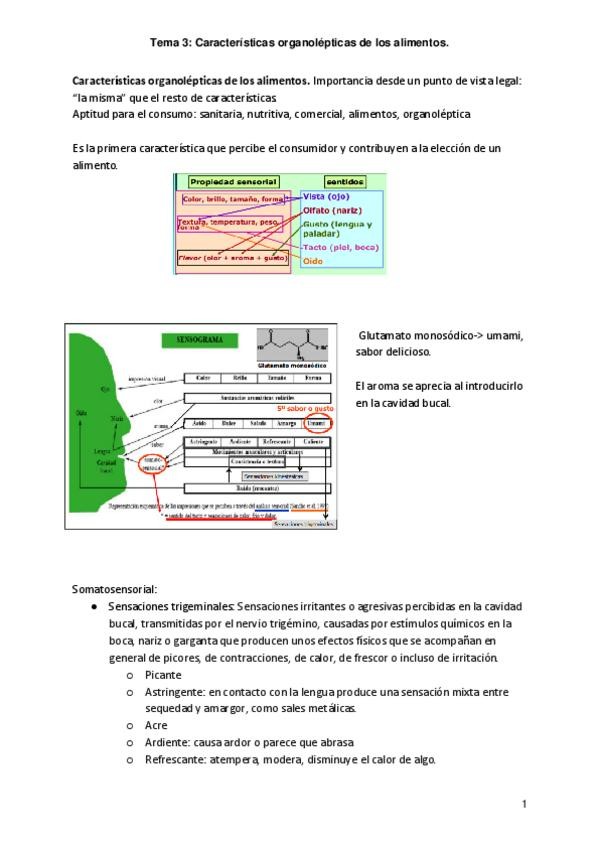 Miniatura del documento Tema-3Caracteres-organolepticos-de-los-alimentos.pdf
