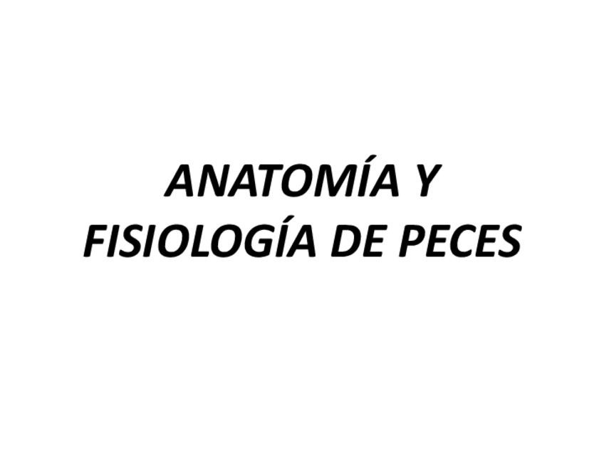 Miniatura del documento 10.pdf