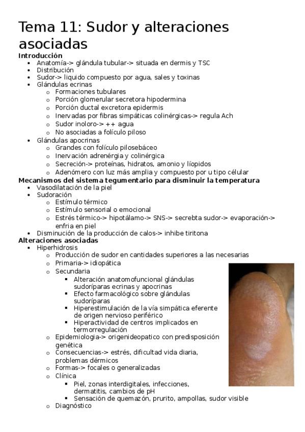 Miniatura del documento Tema-11.docx