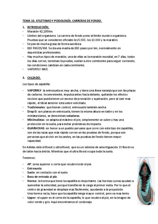 Miniatura del documento TEMA-10.pdf