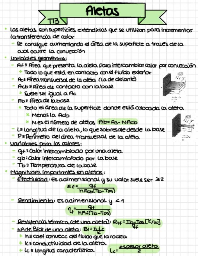 Miniatura del documento T13-Aletas.pdf
